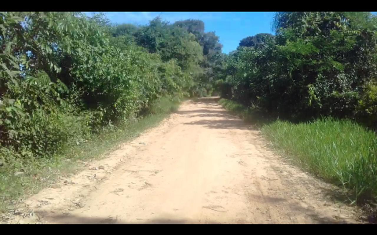 Vila Porto Jofre Ocelotnatur Camping Exteriér fotografie